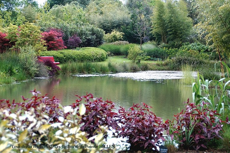 lac exotique en printemps